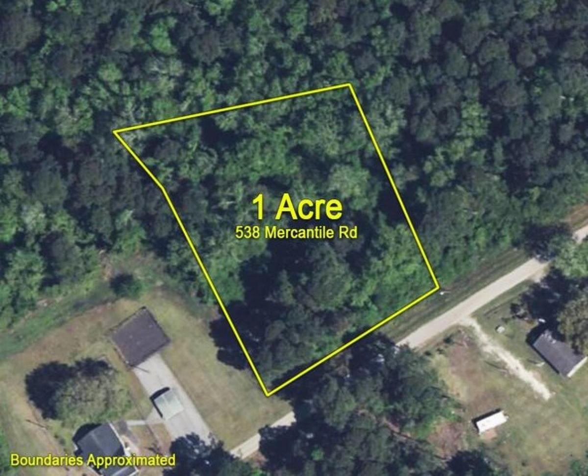 Picture of Residential Land For Sale in McClellanville, South Carolina, United States