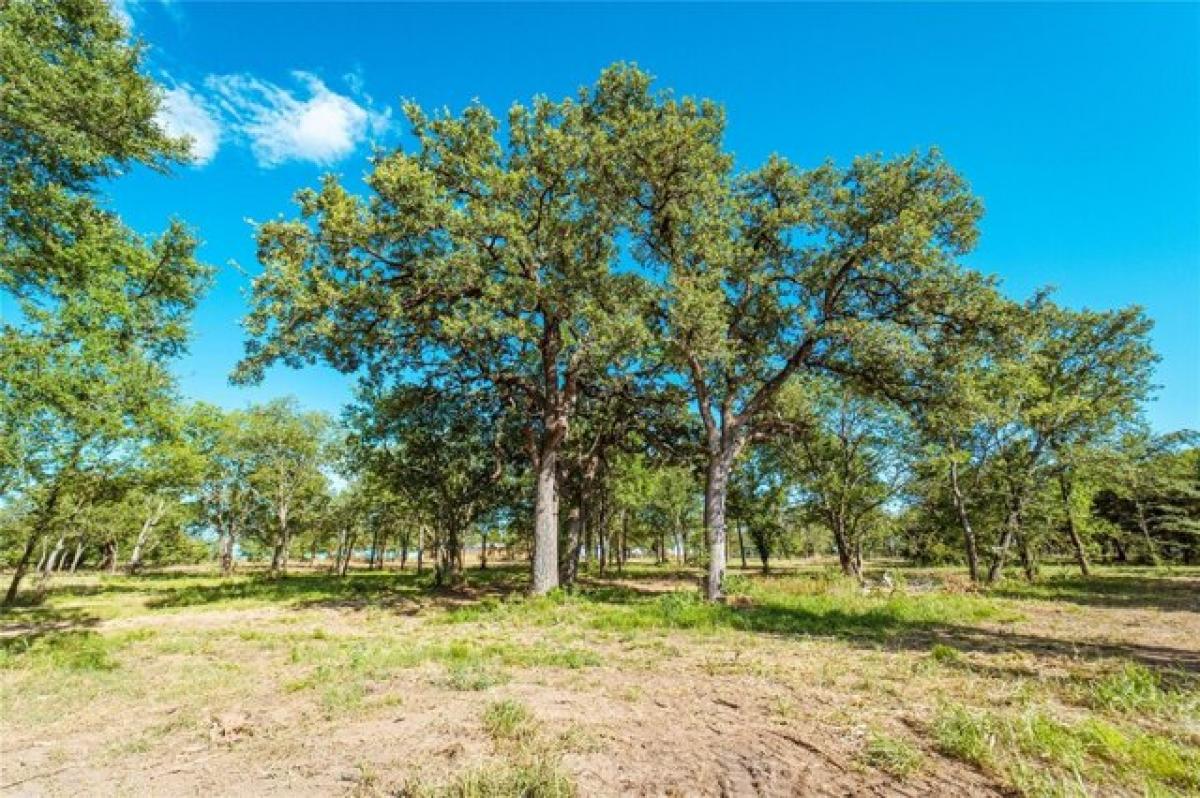 Picture of Residential Land For Sale in Gainesville, Texas, United States