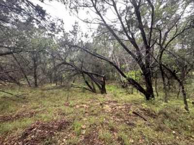 Residential Land For Sale in Leander, Texas