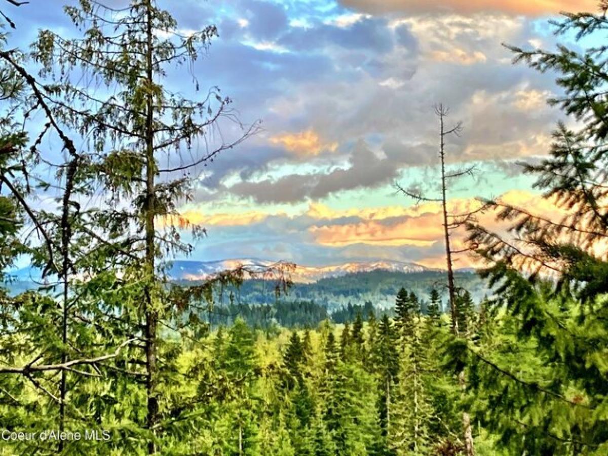 Picture of Residential Land For Sale in Sandpoint, Idaho, United States