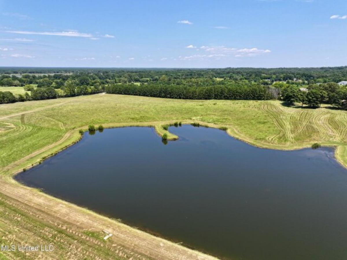 Picture of Residential Land For Sale in Flora, Mississippi, United States