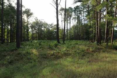 Residential Land For Sale in Starkville, Mississippi