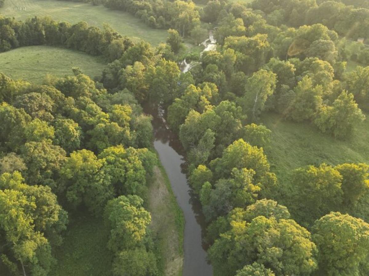 Picture of Residential Land For Sale in Waverly, Tennessee, United States