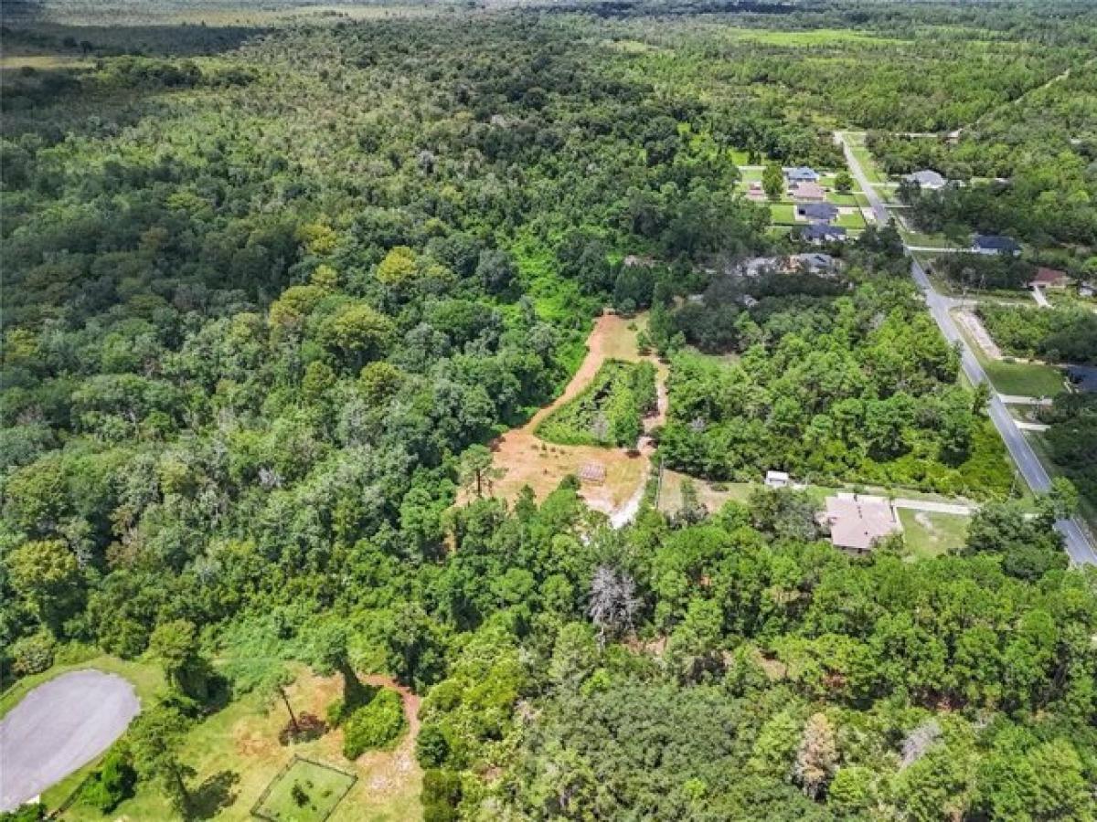 Picture of Residential Land For Sale in Eustis, Florida, United States