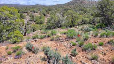 Residential Land For Sale in Cortez, Colorado