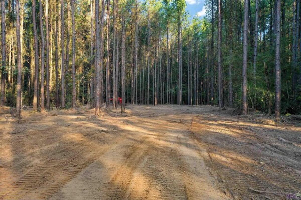 Picture of Residential Land For Sale in Pine Grove, Louisiana, United States