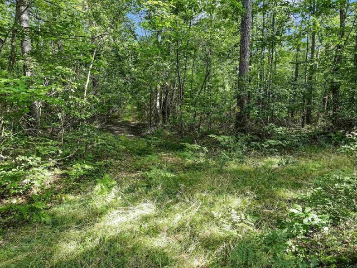 Picture of Residential Land For Sale in Freedom, New Hampshire, United States