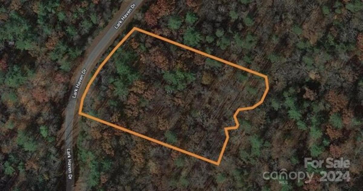 Picture of Residential Land For Sale in Nebo, North Carolina, United States