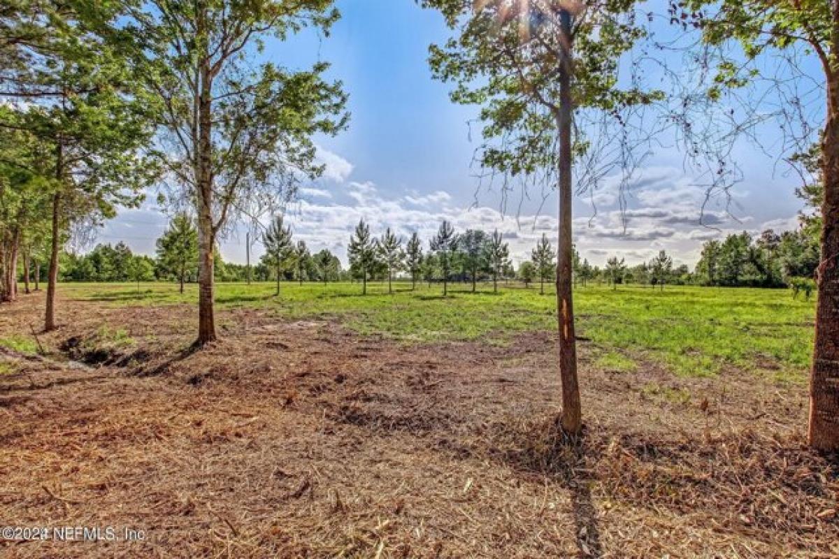 Picture of Residential Land For Sale in Callahan, Florida, United States