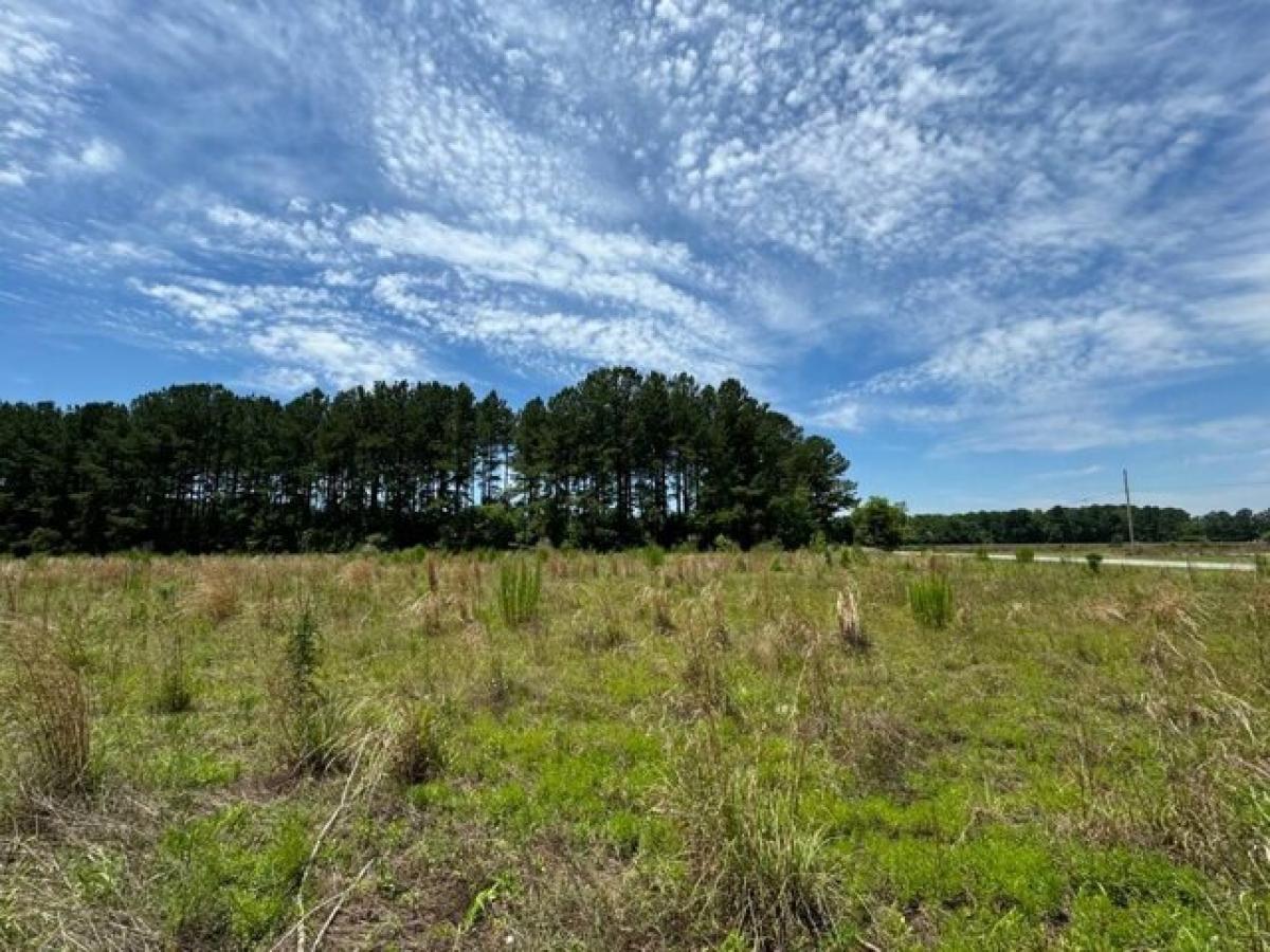 Picture of Residential Land For Sale in Fairfax, South Carolina, United States