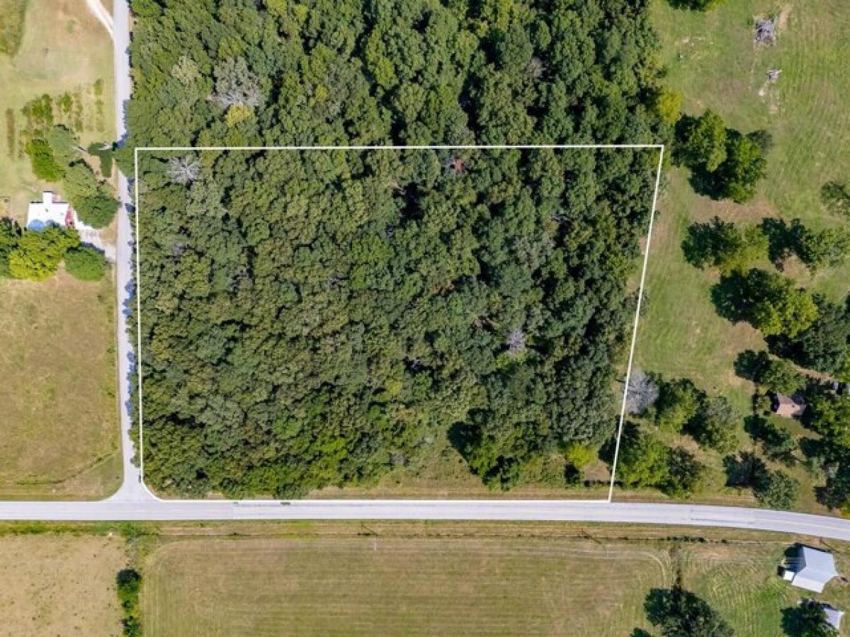 Picture of Residential Land For Sale in Rogersville, Missouri, United States