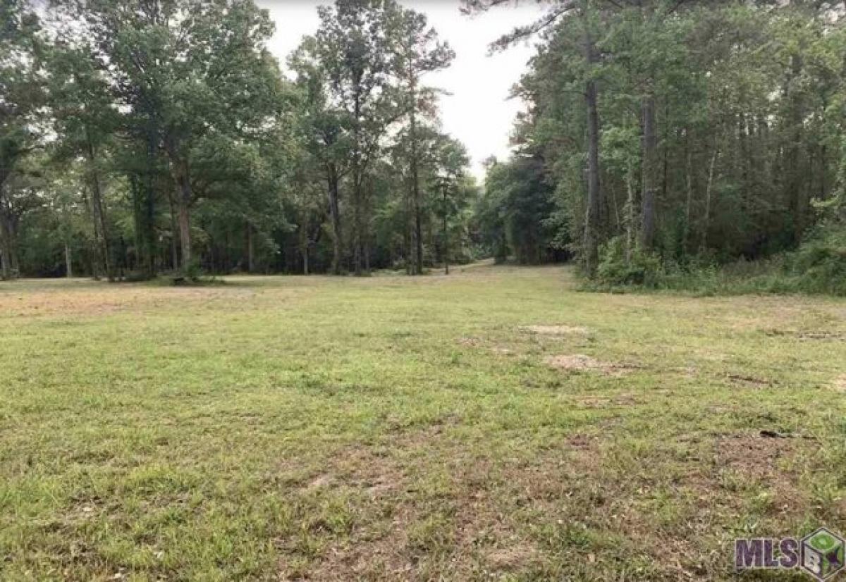 Picture of Residential Land For Sale in French Settlement, Louisiana, United States