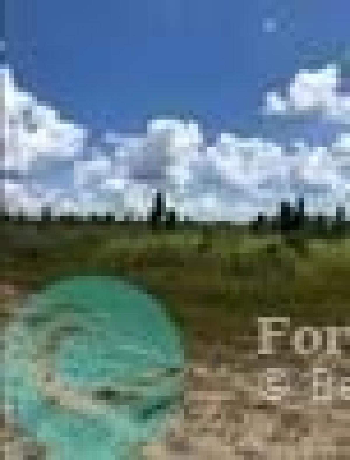 Picture of Residential Land For Sale in Indian Lake Estates, Florida, United States