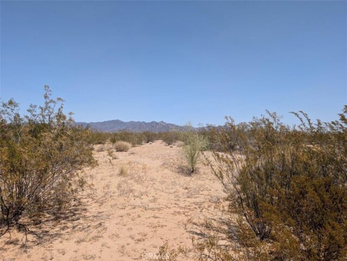 Picture of Residential Land For Sale in Blythe, California, United States