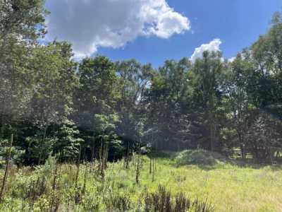 Residential Land For Sale in Paw Paw, Michigan