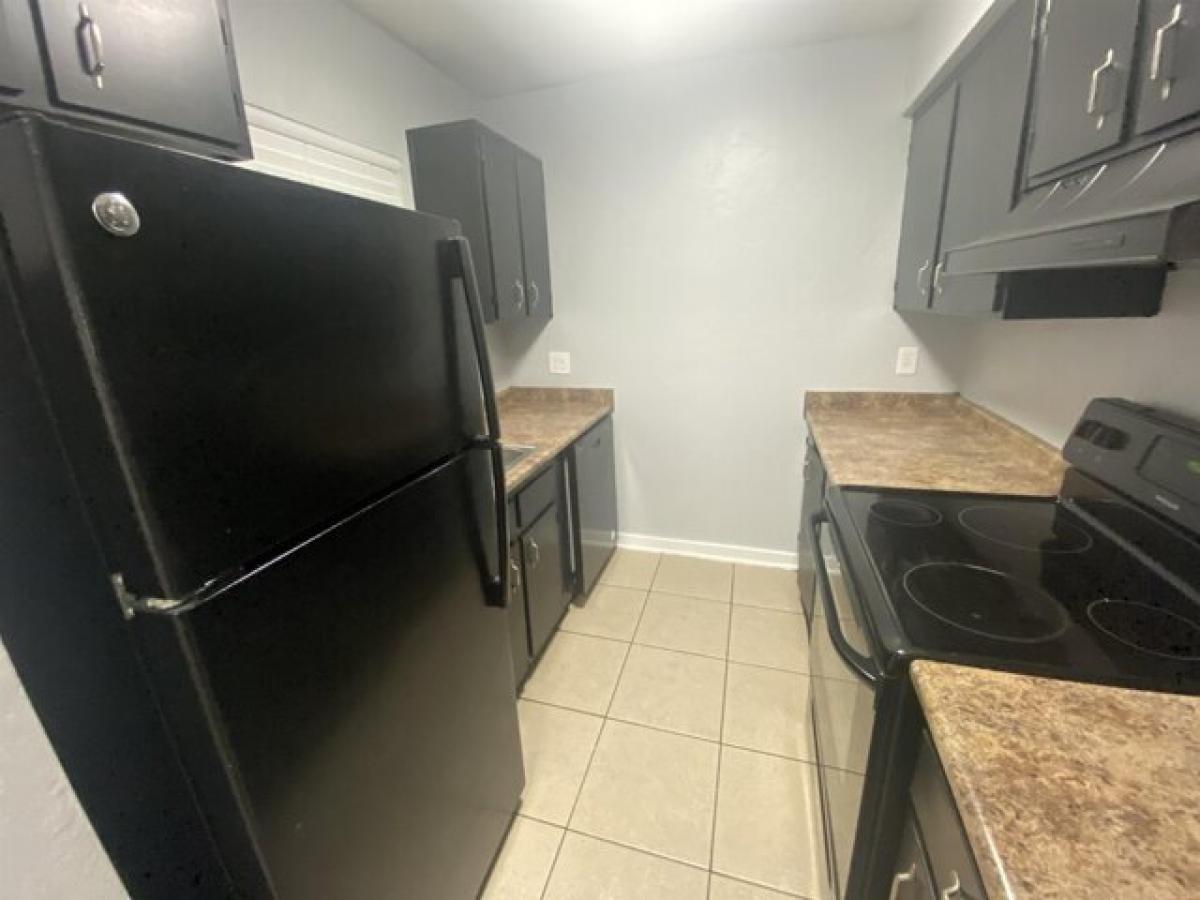 Picture of Apartment For Rent in Tallahassee, Florida, United States