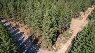 Residential Land For Sale in Portola, California