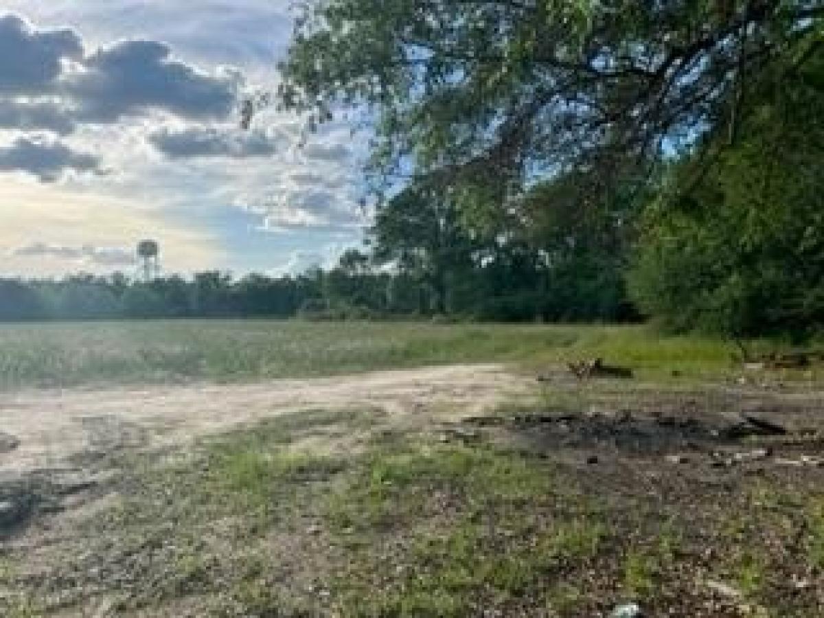 Picture of Residential Land For Sale in Eufaula, Alabama, United States