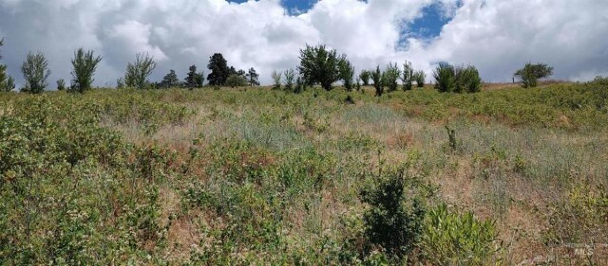 Picture of Residential Land For Sale in Juliaetta, Idaho, United States