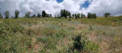 Residential Land For Sale in Juliaetta, Idaho