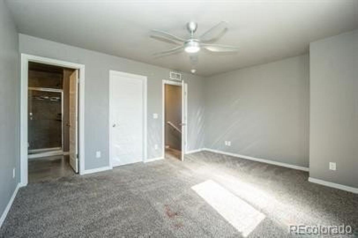 Picture of Home For Rent in Erie, Colorado, United States