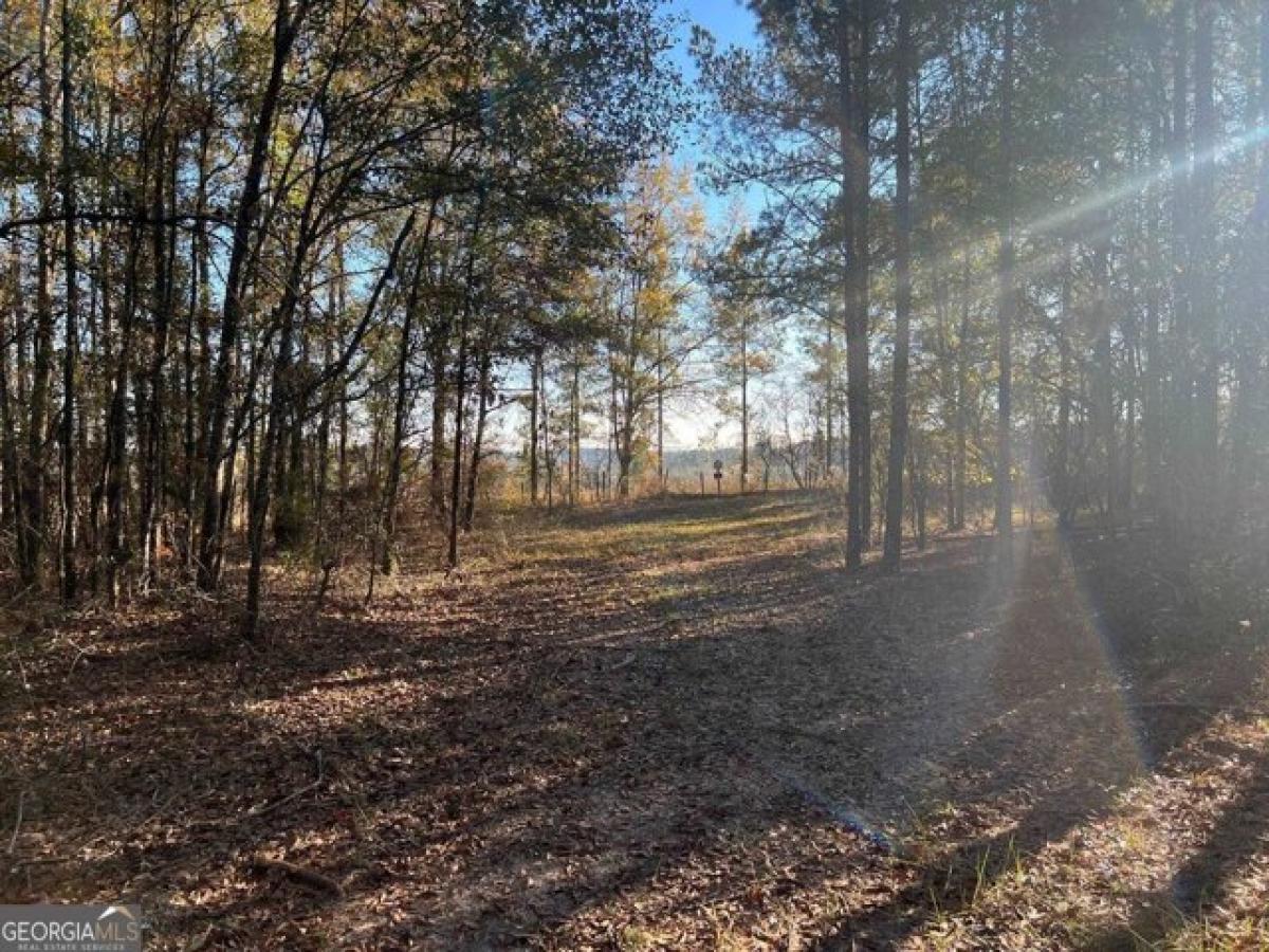 Picture of Residential Land For Sale in Clayton, Alabama, United States