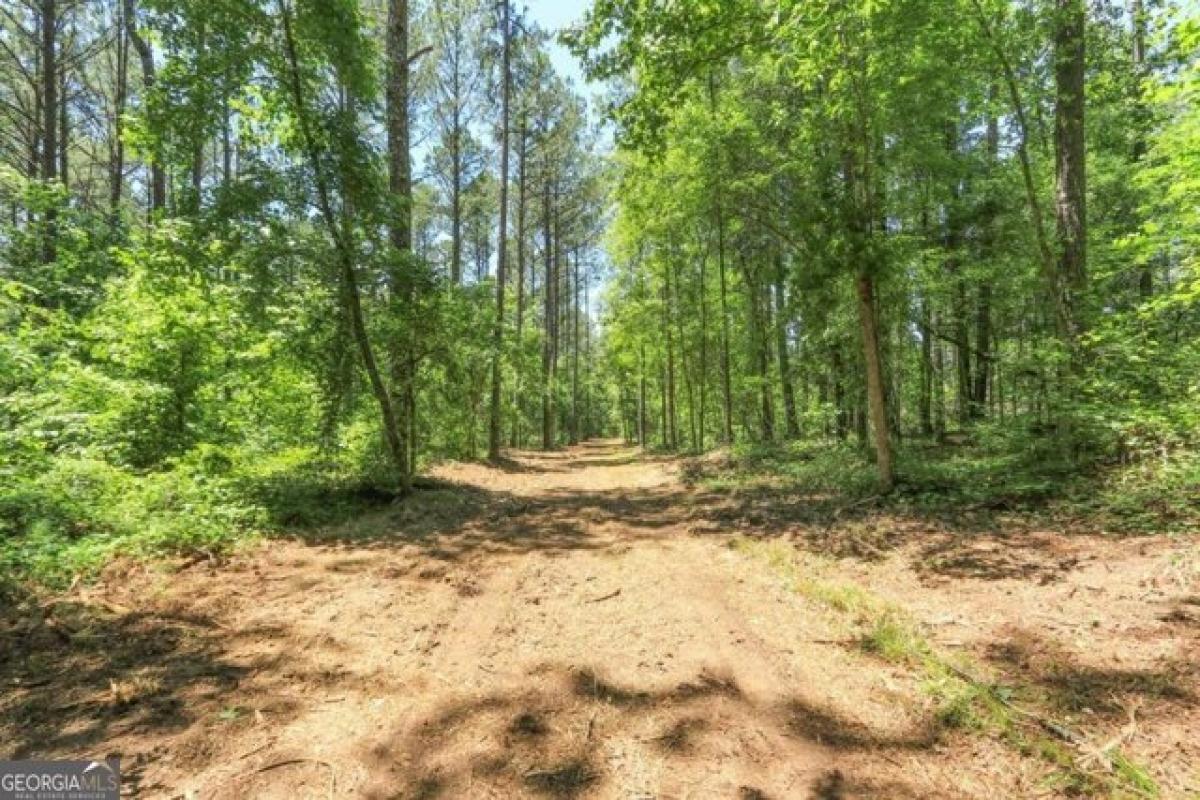 Picture of Residential Land For Sale in Lexington, Georgia, United States