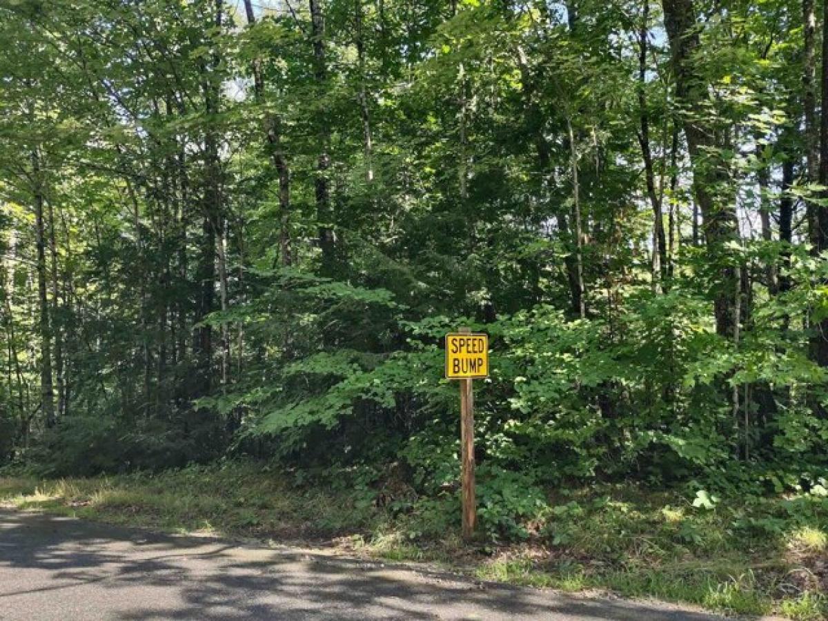 Picture of Residential Land For Sale in Moultonborough, New Hampshire, United States