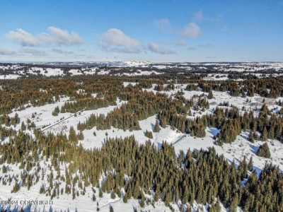 Residential Land For Sale in Homer, Alaska