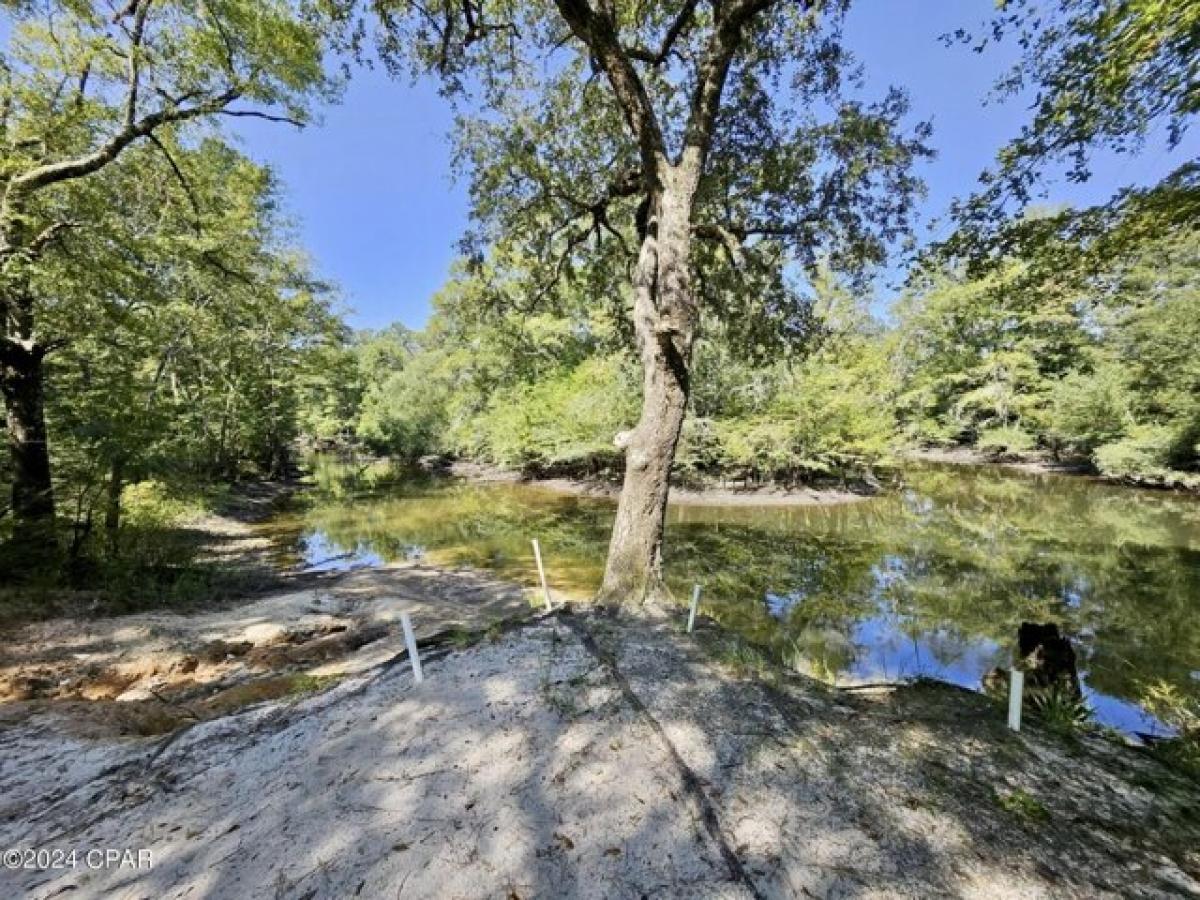 Picture of Home For Sale in Bonifay, Florida, United States