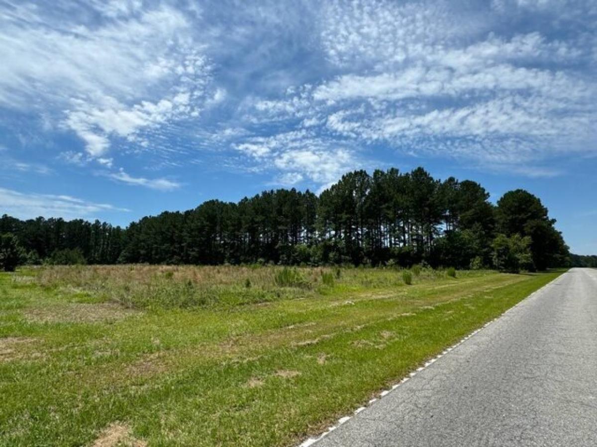 Picture of Residential Land For Sale in Fairfax, South Carolina, United States