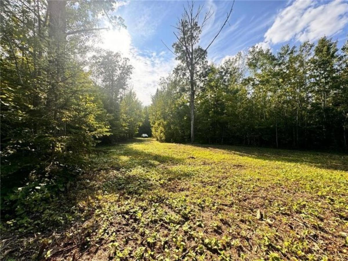 Picture of Residential Land For Sale in Bemidji, Minnesota, United States