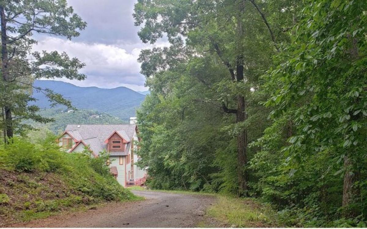 Picture of Residential Land For Sale in Hiawassee, Georgia, United States