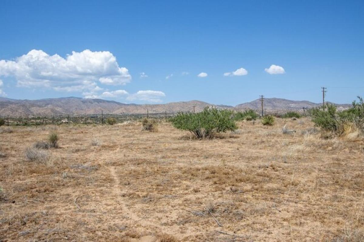 Picture of Residential Land For Sale in Pioneertown, California, United States