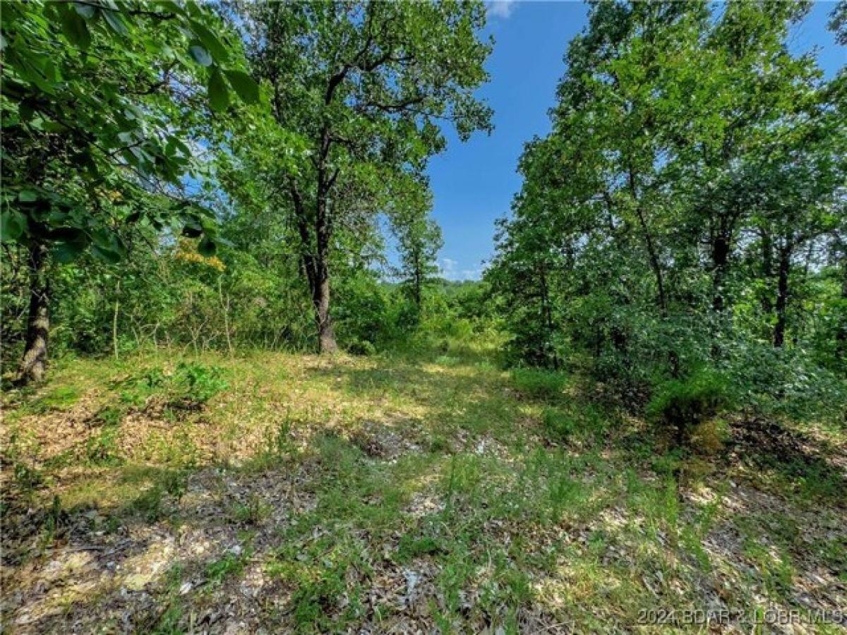 Picture of Residential Land For Sale in Tunas, Missouri, United States