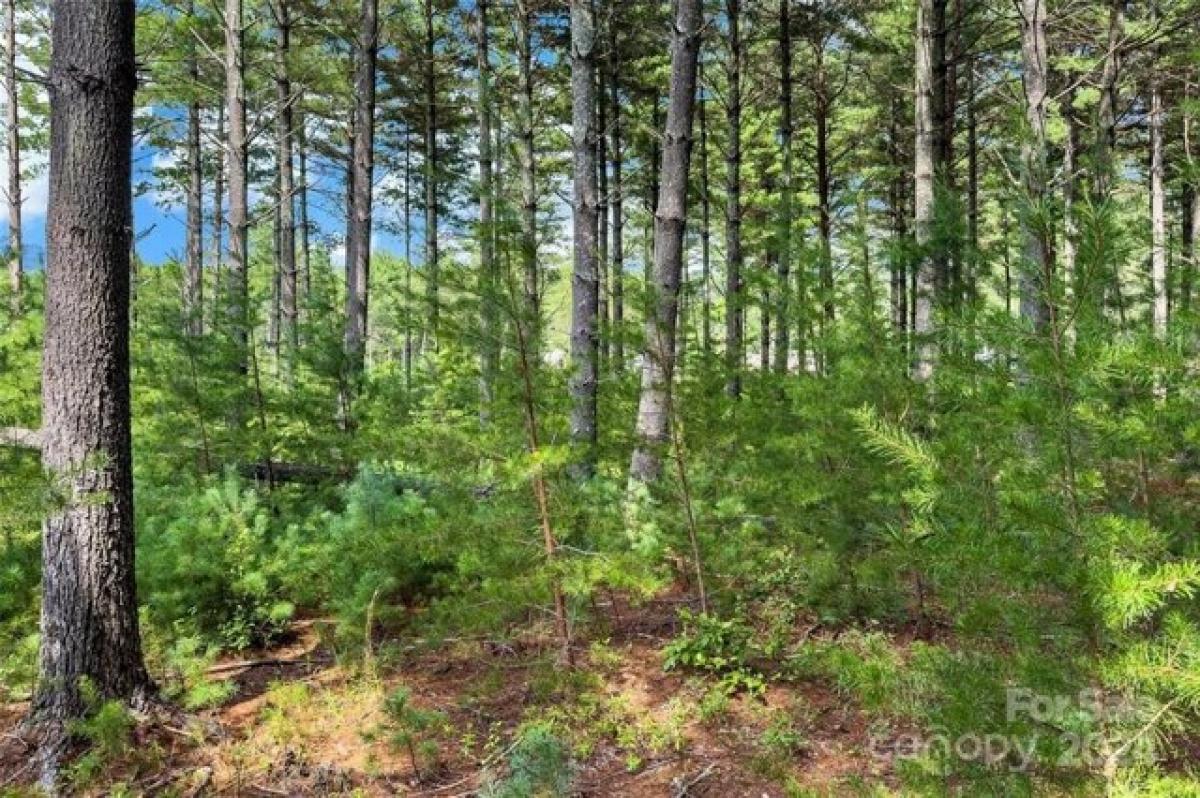 Picture of Residential Land For Sale in Nebo, North Carolina, United States