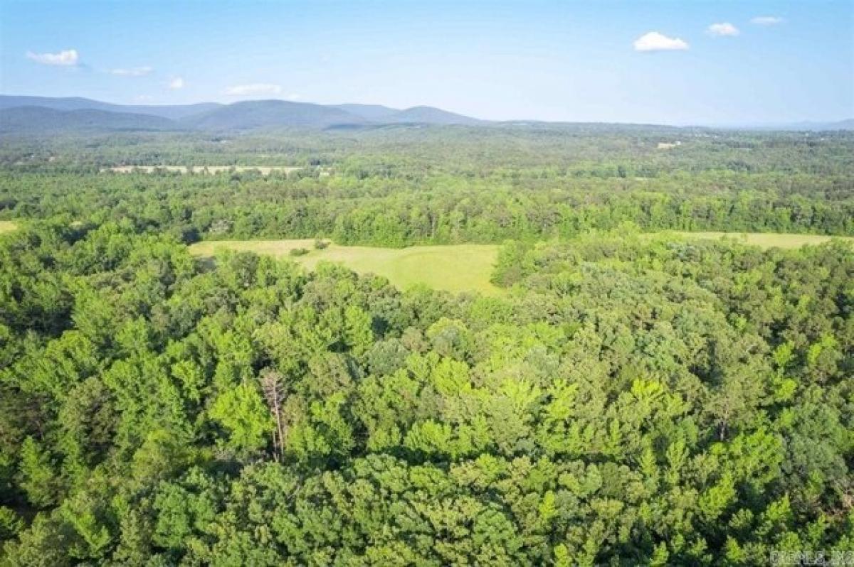 Picture of Residential Land For Sale in Mena, Arkansas, United States