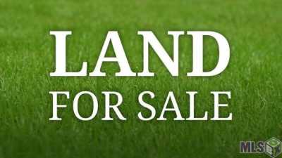 Residential Land For Sale in Holden, Louisiana