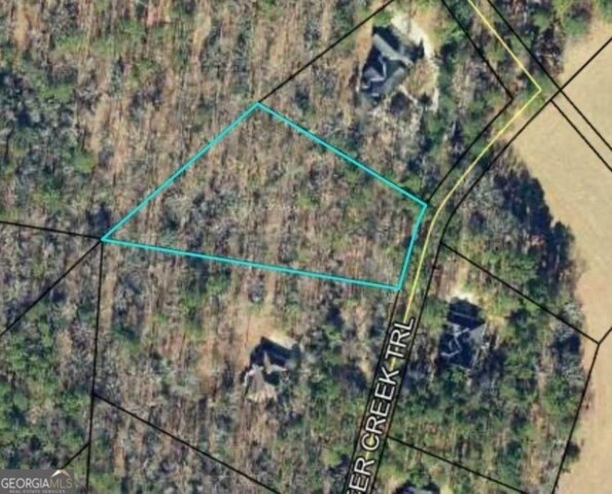 Picture of Residential Land For Sale in Dublin, Georgia, United States