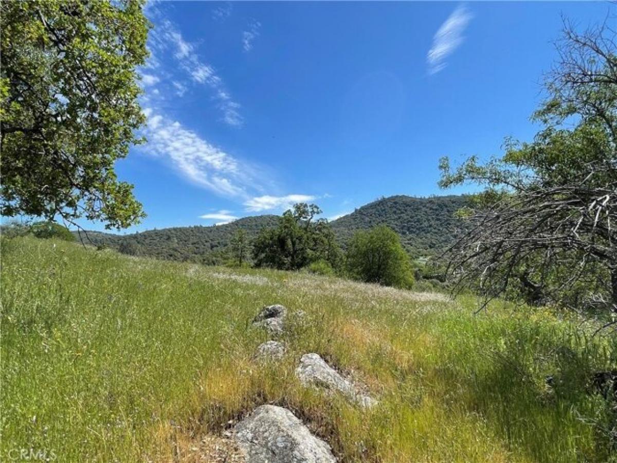 Picture of Residential Land For Sale in Mariposa, California, United States