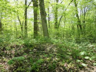 Residential Land For Sale in Coloma, Michigan