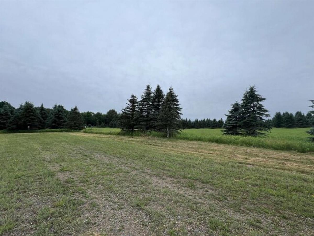 Picture of Residential Land For Sale in Wittenberg, Wisconsin, United States