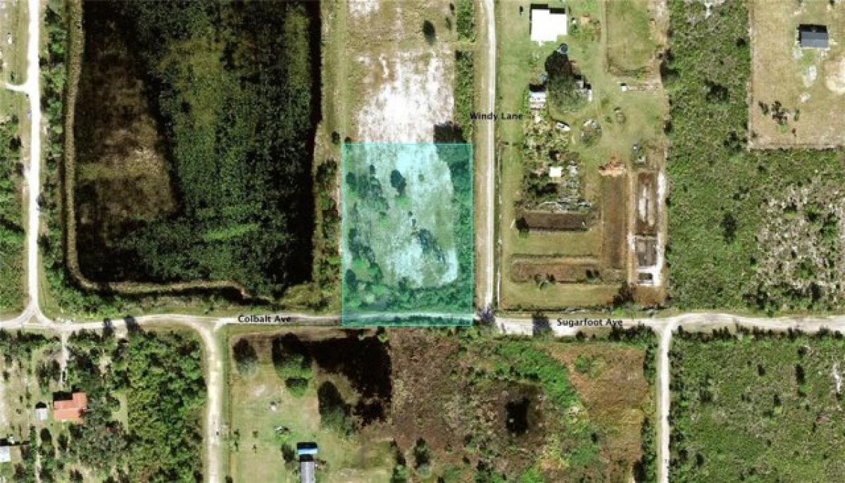 Picture of Residential Land For Sale in Lake Wales, Florida, United States