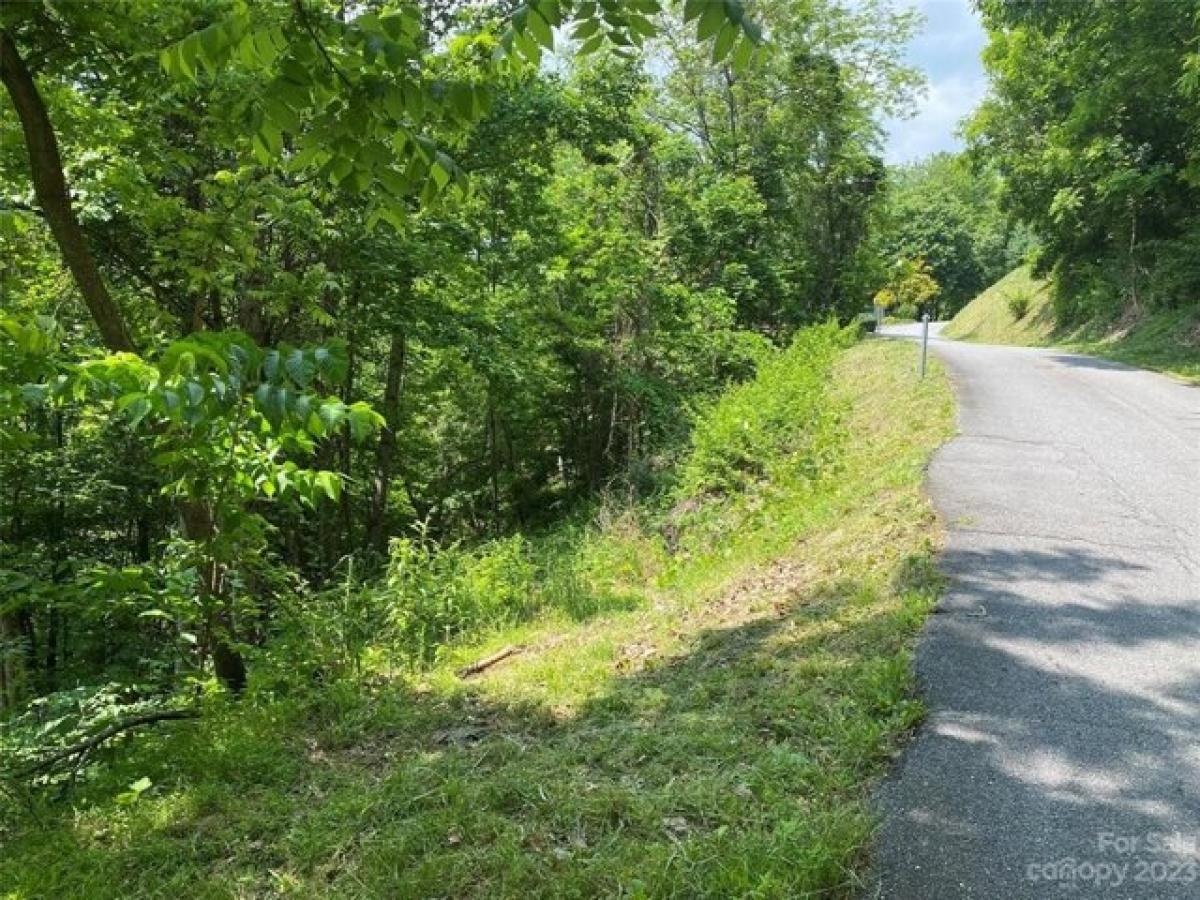 Picture of Residential Land For Sale in Maggie Valley, North Carolina, United States