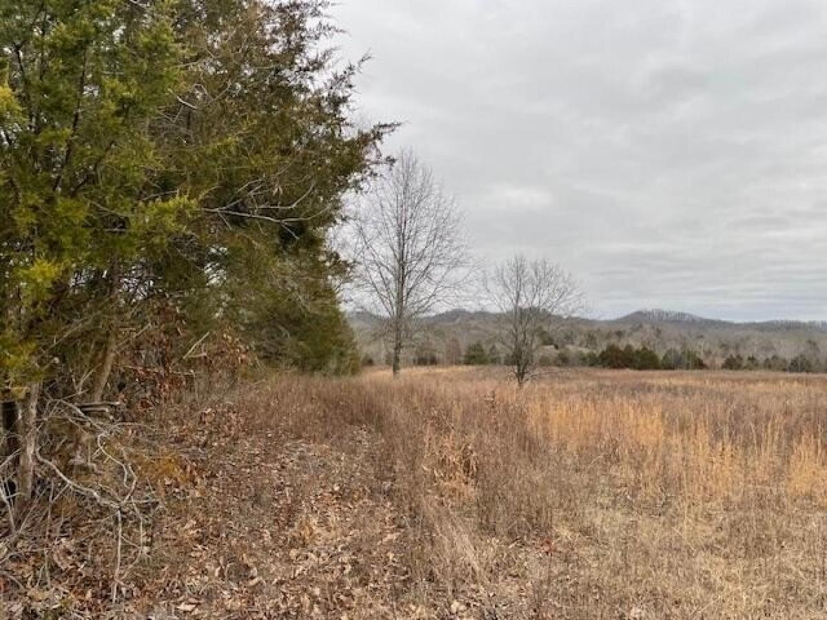 Picture of Residential Land For Sale in Elk Horn, Kentucky, United States