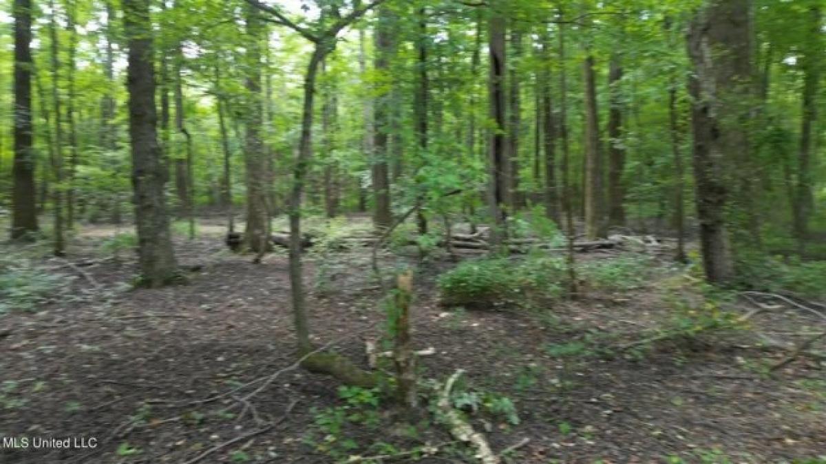 Picture of Residential Land For Sale in Byhalia, Mississippi, United States