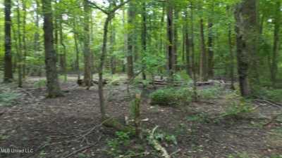 Residential Land For Sale in Byhalia, Mississippi