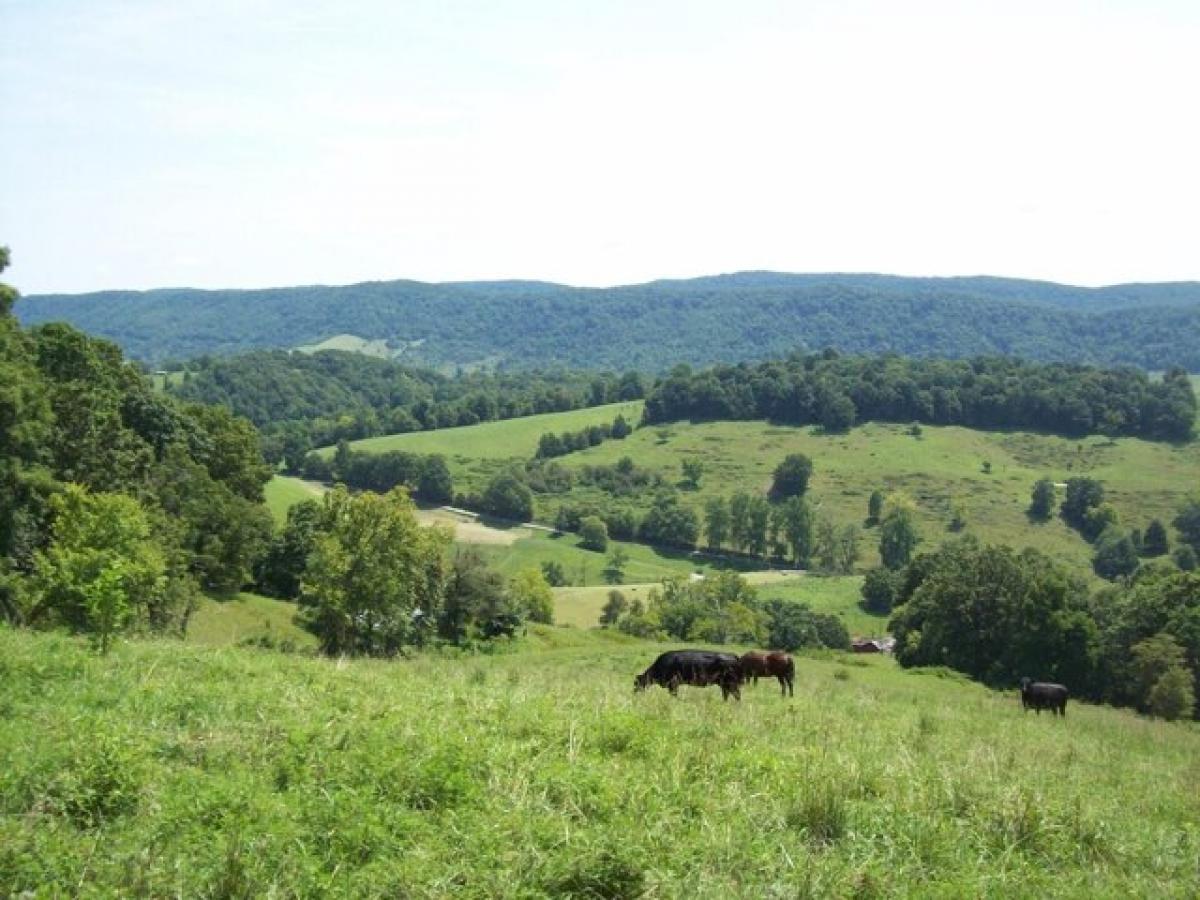 Picture of Residential Land For Sale in Tazewell, Tennessee, United States