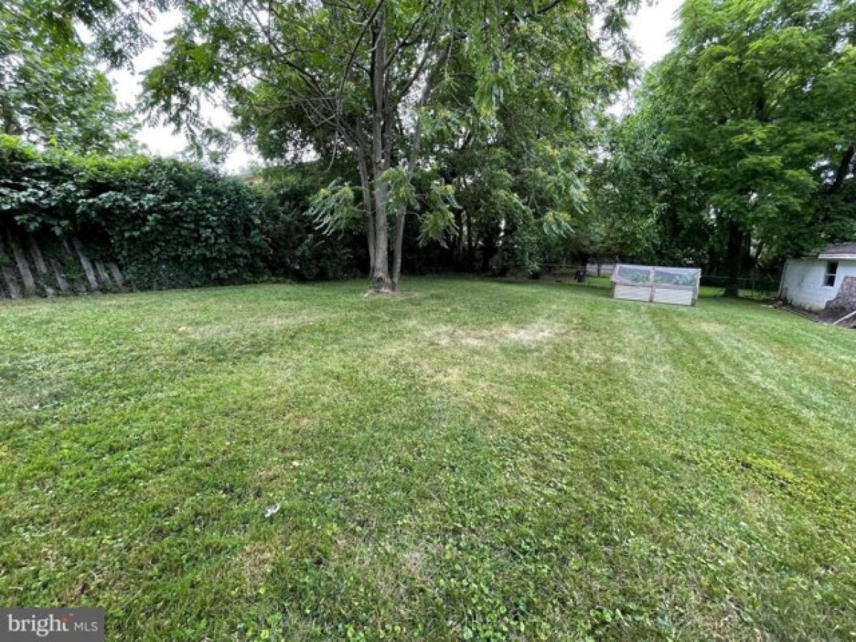 Picture of Residential Land For Sale in Arlington, Virginia, United States