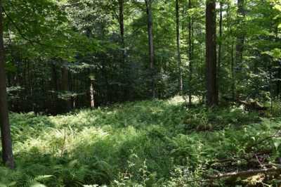 Residential Land For Sale in 